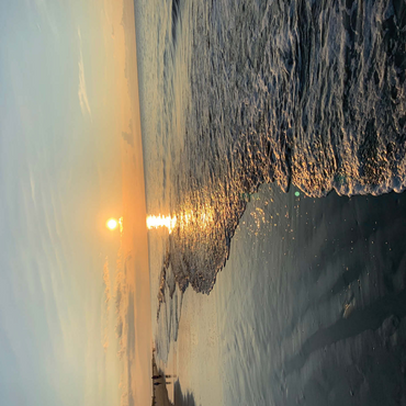 Nature Photography: Sunset Shoreline- Hilton Head, South Carolina 500 Jigsaw Puzzle 3D Modell