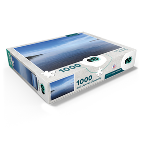 1000