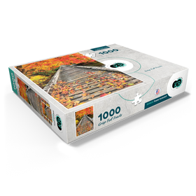 1000