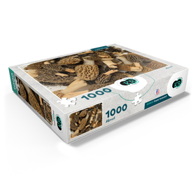 1000