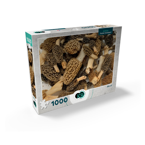 Macro Photography: Wild Morel Mushrooms Collage 1000 Jigsaw Puzzle box view2