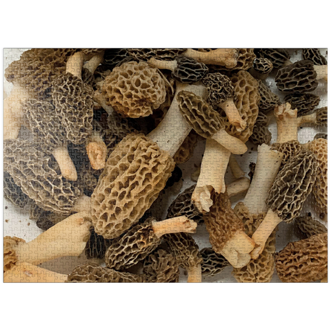 puzzleplate Macro Photography: Wild Morel Mushrooms Collage 1000 Jigsaw Puzzle