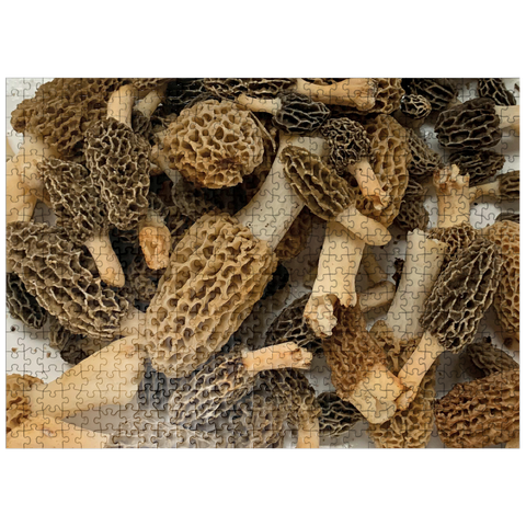 puzzleplate Macro Photography: Wild Morel Mushrooms Collage 500 Jigsaw Puzzle