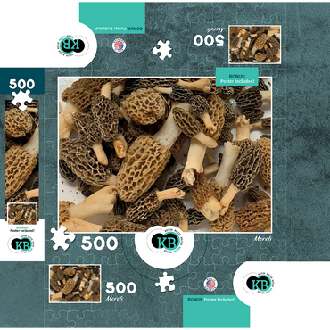 Macro Photography: Wild Morel Mushrooms Collage 500 Jigsaw Puzzle box 3D Modell