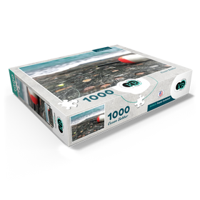 1000