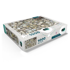 1000