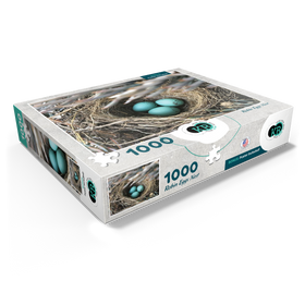 1000