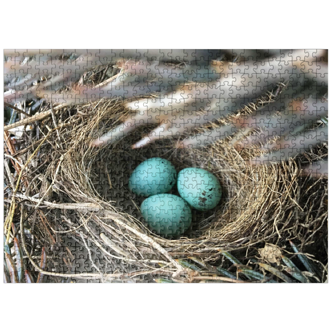 puzzleplate Macro Photography: Robin Eggs Nest in a Pine Tree 500 Jigsaw Puzzle
