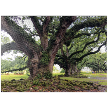 puzzleplate Nature Photography: Southern Live Oak, North Carolina, no.1 1000 Jigsaw Puzzle