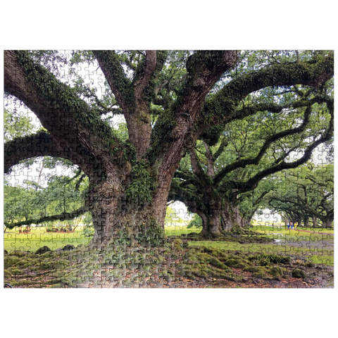 puzzleplate Nature Photography: Southern Live Oak, North Carolina, no.1 500 Jigsaw Puzzle