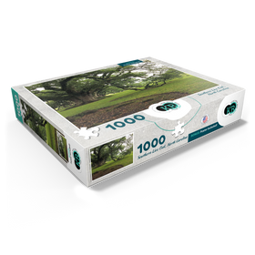 1000