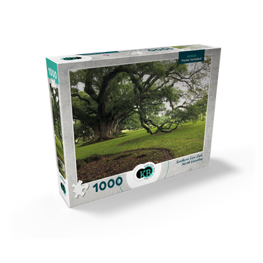 Nature Photography: Southern Live Oak, North Carolina, no.2 1000 Jigsaw Puzzle box view2
