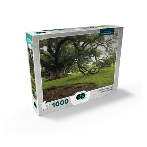 Nature Photography: Southern Live Oak, North Carolina, no.2 1000 Jigsaw Puzzle box view2