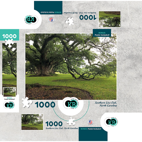 Nature Photography: Southern Live Oak, North Carolina, no.2 1000 Jigsaw Puzzle box 3D Modell