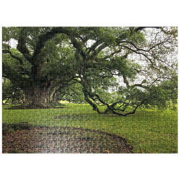 puzzleplate Nature Photography: Southern Live Oak, North Carolina, no.2 500 Jigsaw Puzzle