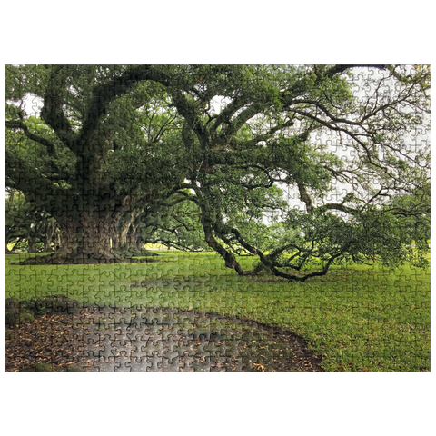 puzzleplate Nature Photography: Southern Live Oak, North Carolina, no.2 500 Jigsaw Puzzle