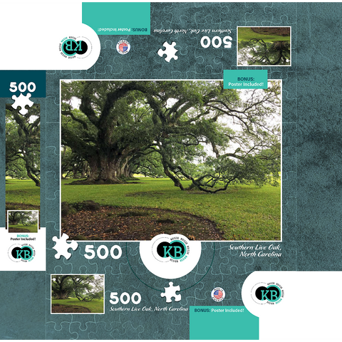 Nature Photography: Southern Live Oak, North Carolina, no.2 500 Jigsaw Puzzle box 3D Modell