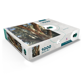 1000