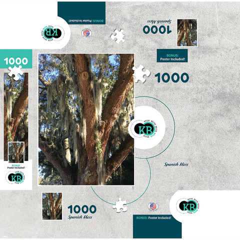 Nature Photography: Southern Trees, Spanish Moss 1000 Jigsaw Puzzle box 3D Modell
