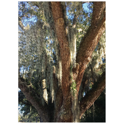 puzzleplate Nature Photography: Southern Trees, Spanish Moss 500 Jigsaw Puzzle