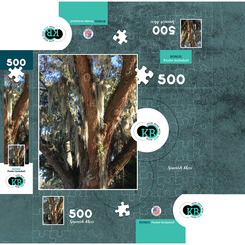 Nature Photography: Southern Trees, Spanish Moss 500 Jigsaw Puzzle box 3D Modell