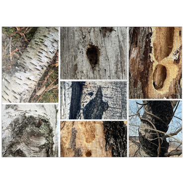 puzzleplate Nature Photography: Tree Bark Collage 1000 Jigsaw Puzzle