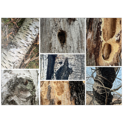 puzzleplate Nature Photography: Tree Bark Collage 1000 Jigsaw Puzzle