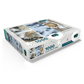 1000