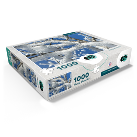 1000