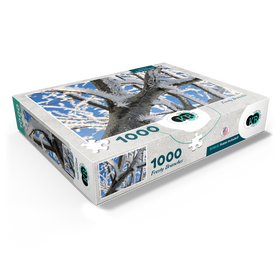 1000