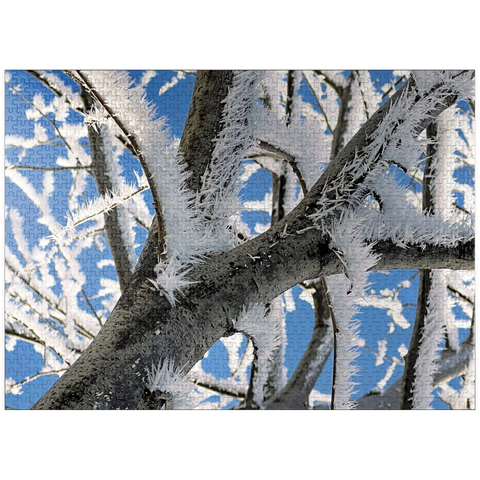 puzzleplate Nature Photography: Frosted Branches, no.2 1000 Jigsaw Puzzle
