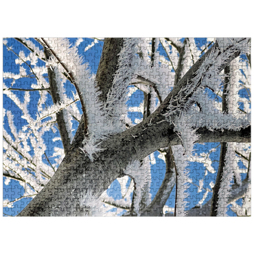 puzzleplate Nature Photography: Frosted Branches, no.2 500 Jigsaw Puzzle