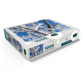 1000