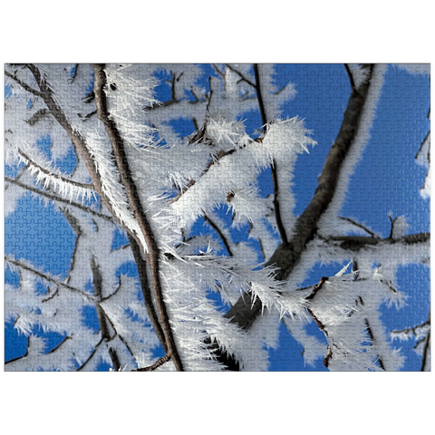 puzzleplate Nature Photography: Frosted Branches, no.3 1000 Jigsaw Puzzle