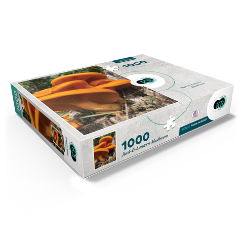 Nature Photography: Jack O Lantern Mushroom 1000 Jigsaw Puzzle box view1