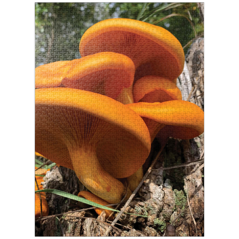 puzzleplate Nature Photography: Jack O Lantern Mushroom 1000 Jigsaw Puzzle