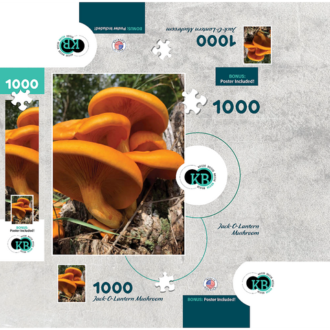 Nature Photography: Jack O Lantern Mushroom 1000 Jigsaw Puzzle box 3D Modell