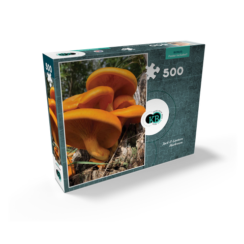 Nature Photography: Jack O Lantern Mushroom 500 Jigsaw Puzzle box view2