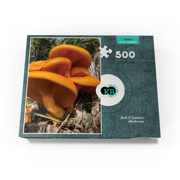 Nature Photography: Jack O Lantern Mushroom 500 Jigsaw Puzzle box view3