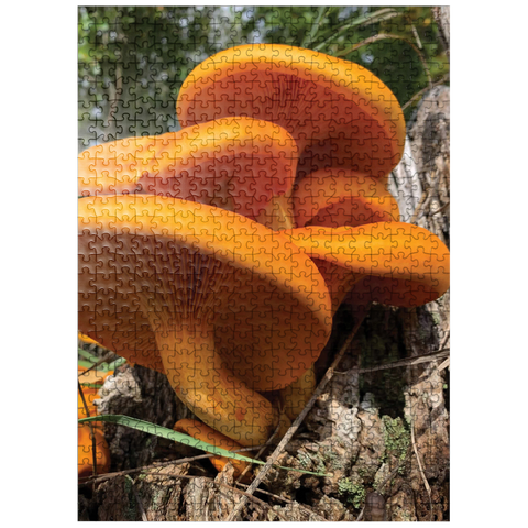 puzzleplate Nature Photography: Jack O Lantern Mushroom 500 Jigsaw Puzzle