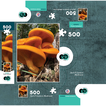 Nature Photography: Jack O Lantern Mushroom 500 Jigsaw Puzzle box 3D Modell