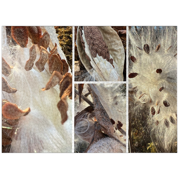 puzzleplate Nature Photography: Milkweed Seed Pod Collage 1000 Jigsaw Puzzle