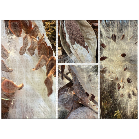 puzzleplate Nature Photography: Milkweed Seed Pod Collage 1000 Jigsaw Puzzle