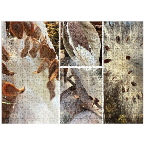 puzzleplate Nature Photography: Milkweed Seed Pod Collage 500 Jigsaw Puzzle