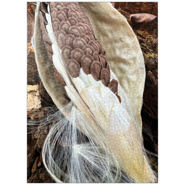 puzzleplate Nature Photography: Milkweed Seeds Pod 1000 Jigsaw Puzzle