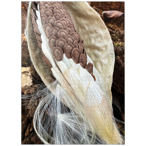 puzzleplate Nature Photography: Milkweed Seeds Pod 1000 Jigsaw Puzzle