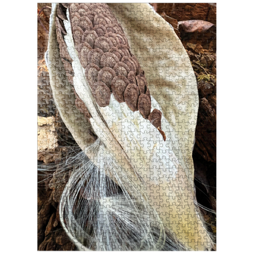 puzzleplate Nature Photography: Milkweed Seeds Pod 500 Jigsaw Puzzle