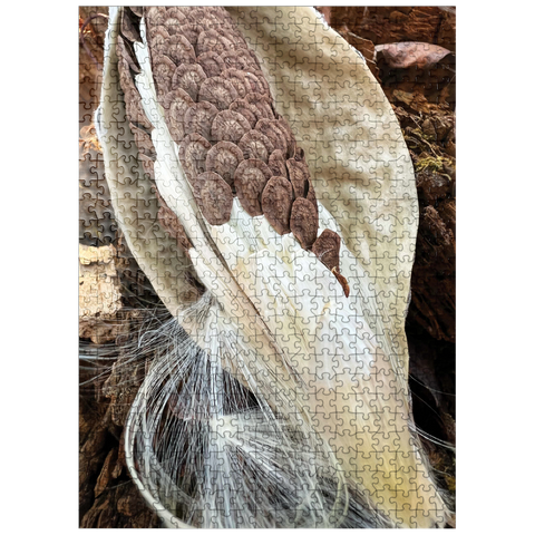 puzzleplate Nature Photography: Milkweed Seeds Pod 500 Jigsaw Puzzle