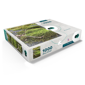 1000