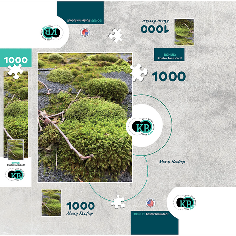 Macro Photography: Mossy Rooftop 1000 Jigsaw Puzzle box 3D Modell